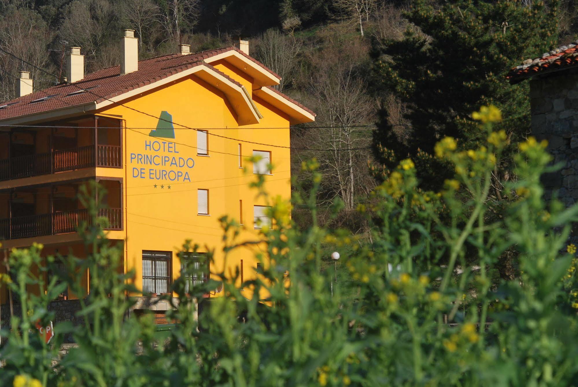 Hotel Principado De Europa Arenas De Cabrales Εξωτερικό φωτογραφία